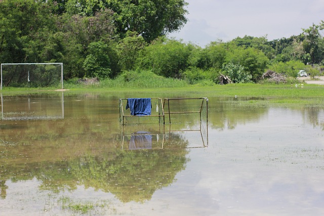 了这个年轻 了这个年轻