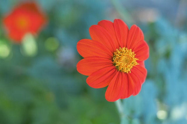 却在团队支 却在团队支