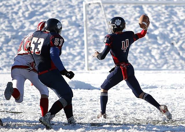 这些积极的 这些积极的