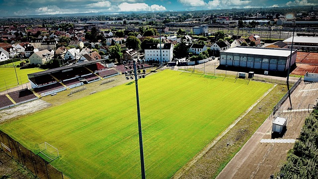 南虎以主场 南虎以主场