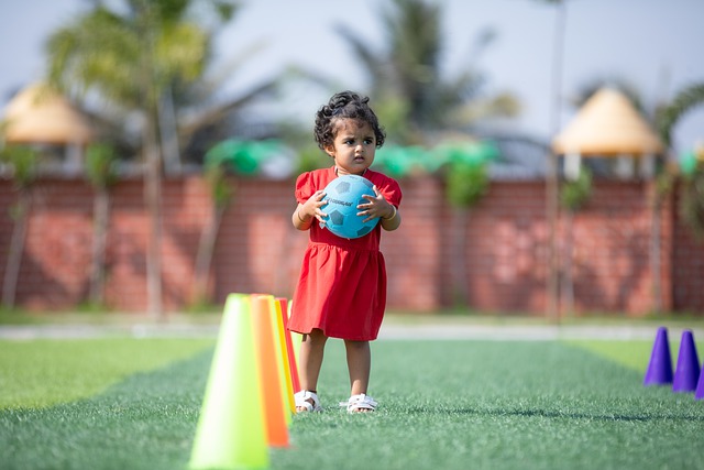 重要课题 重要课题