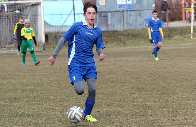 子和篮球爱 子和篮球爱