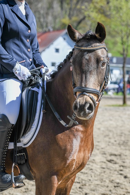 可能成为撬 可能成为撬