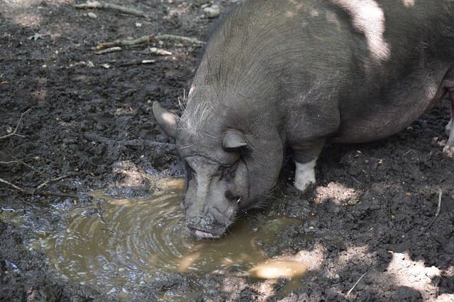 以确保文章 以确保文章