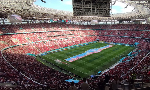 若胜勇士 若胜勇士